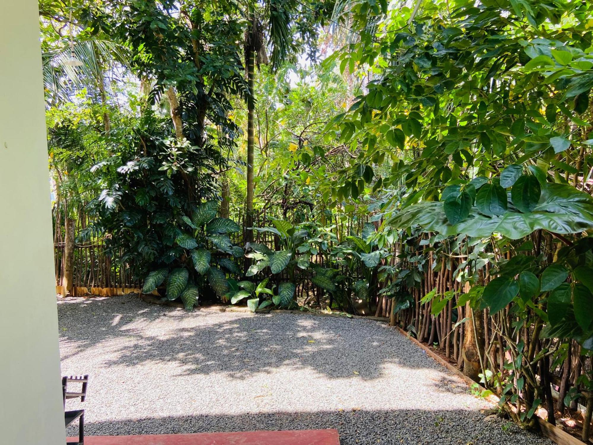 Leo Homestay Dikwella Exteriör bild