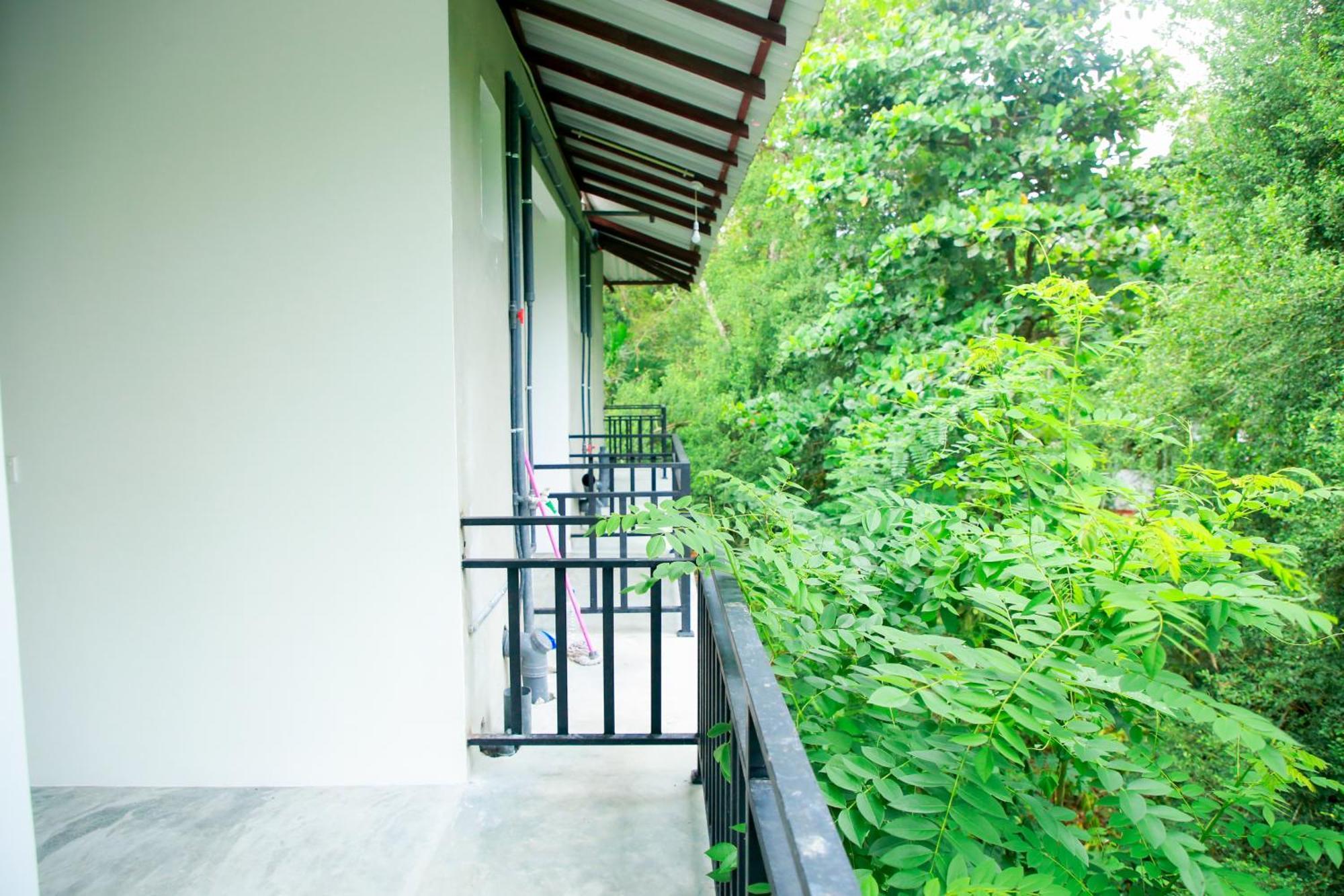 Leo Homestay Dikwella Exteriör bild